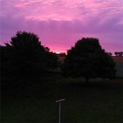 365体育官方唯一入口