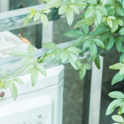 金沙集团186CC下载手机版